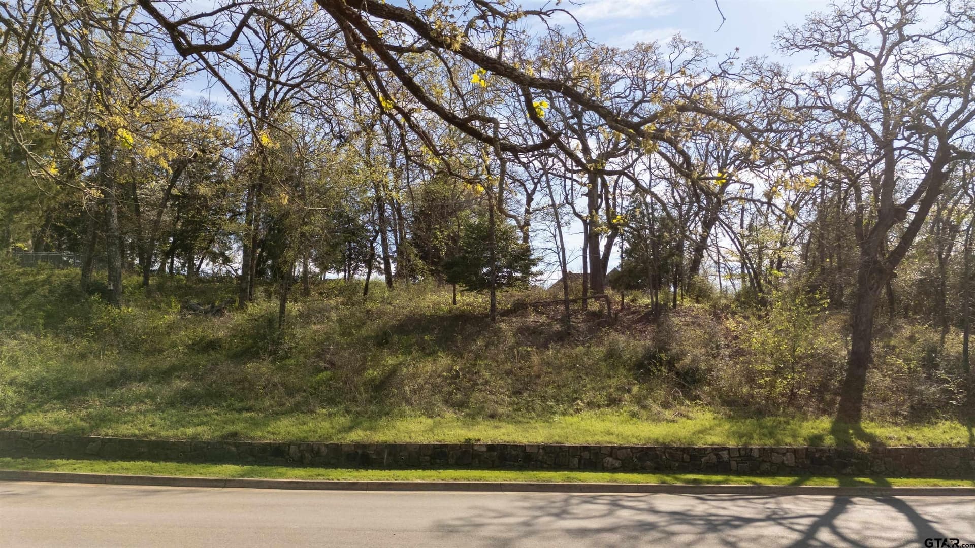 0.81 acres in Smith County - photo 19