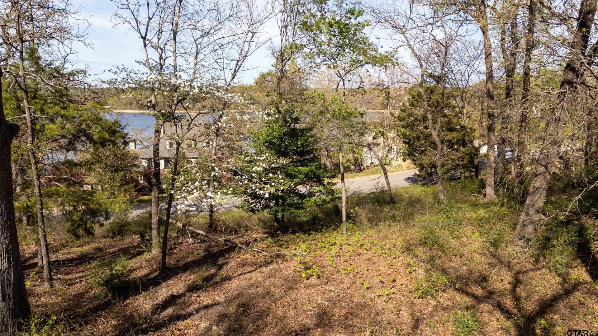 0.81 acres in Smith County - photo 12