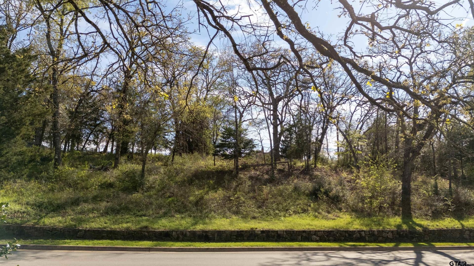 0.81 acres in Smith County - photo 20