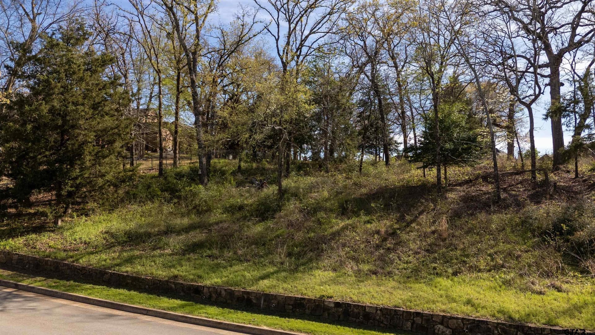 0.81 acres in Smith County - photo 15