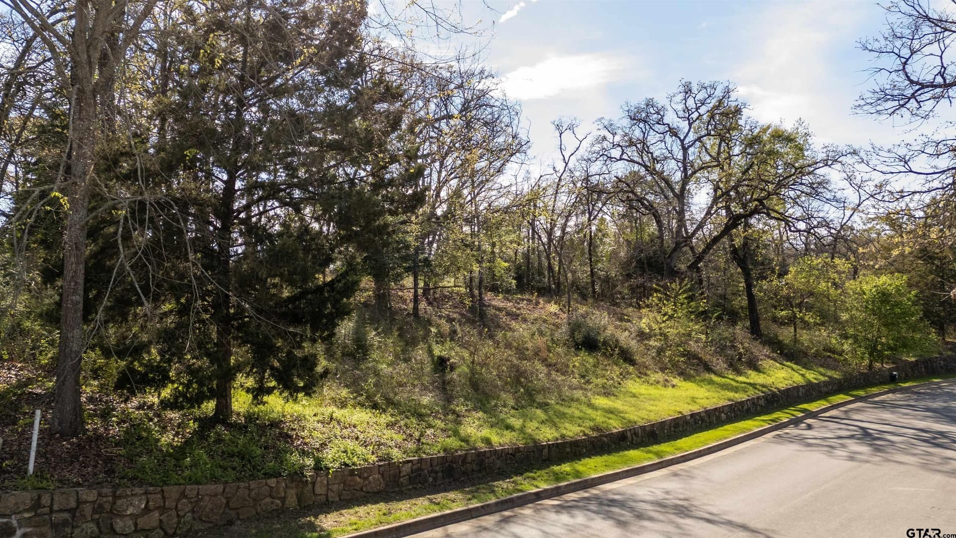 0.81 acres in Smith County - photo 17