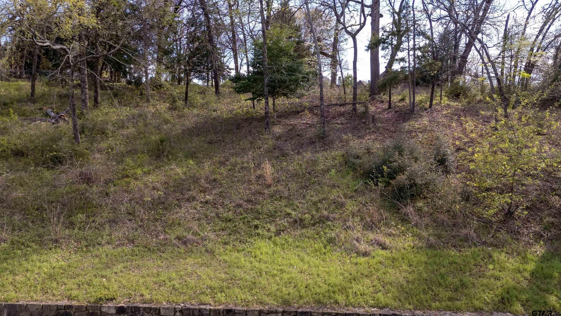 0.81 acres in Smith County - photo 28
