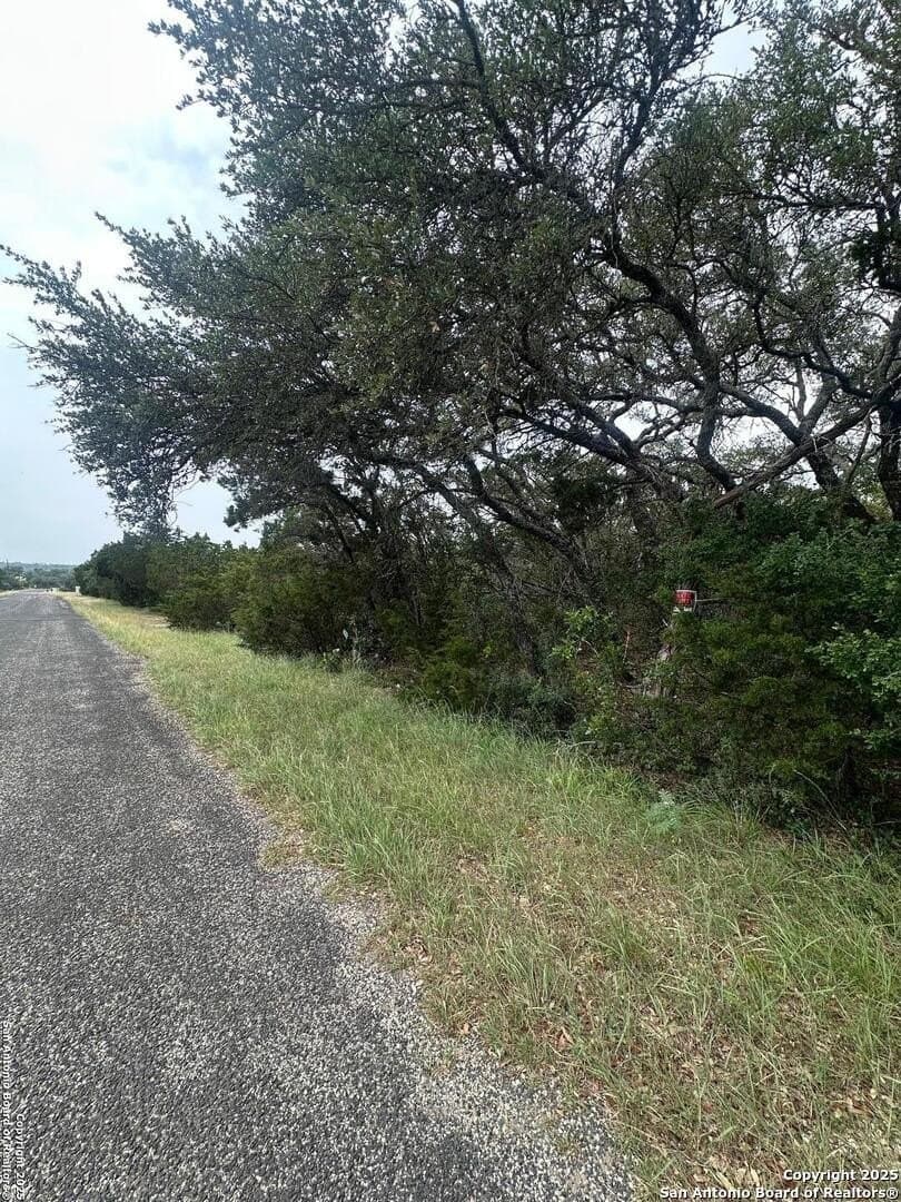 2 acres in Bexar County - photo 2
