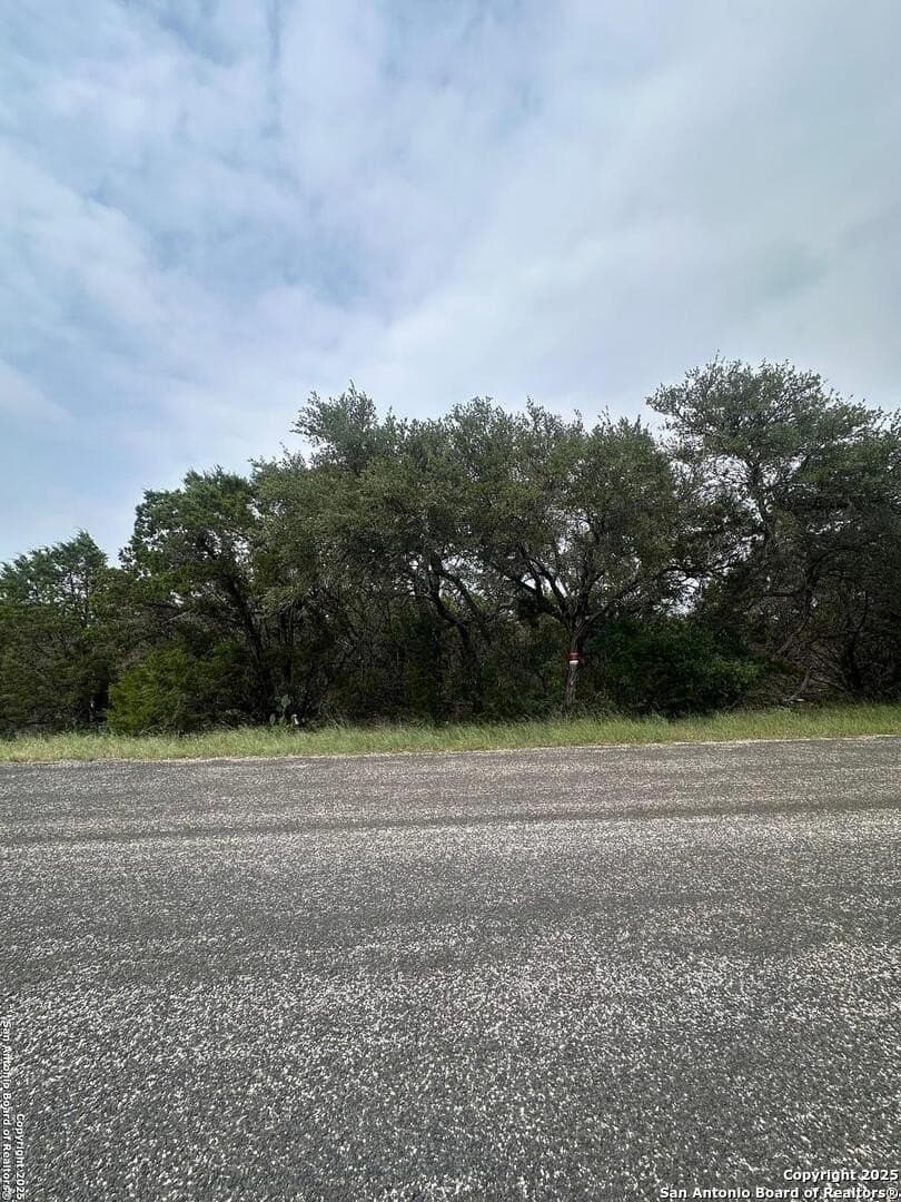 2 acres in Bexar County - photo 4