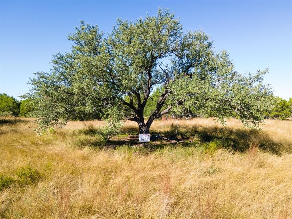 10.01 acres in Coryell County - photo 3