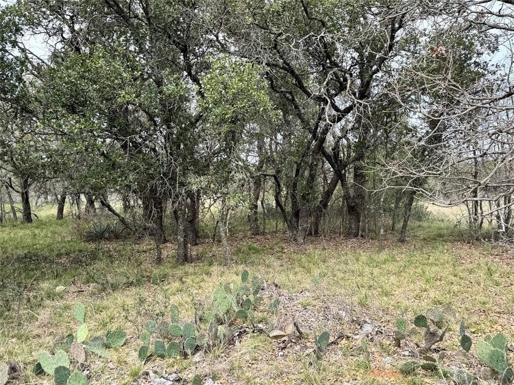 0.15 acres in Brown County - photo 12