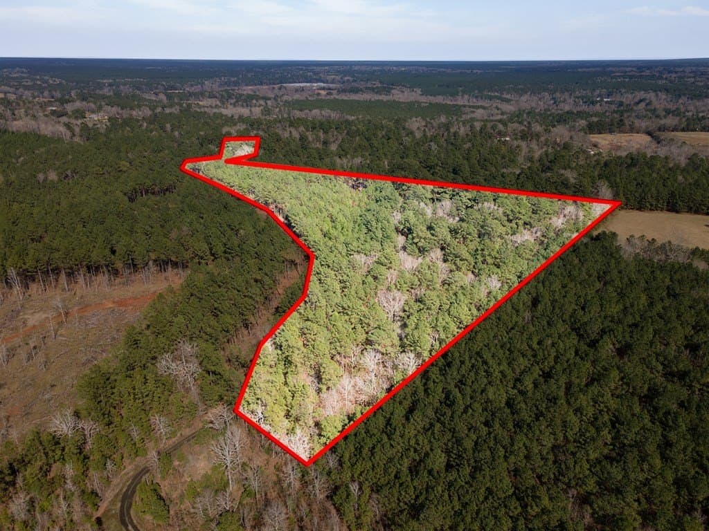 19.86 acres in Texas County - photo 8
