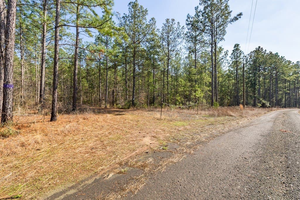 19.86 acres in Texas County - photo 12