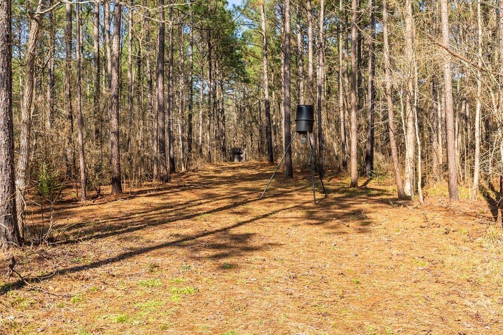 19.86 acres in Texas County - photo 14