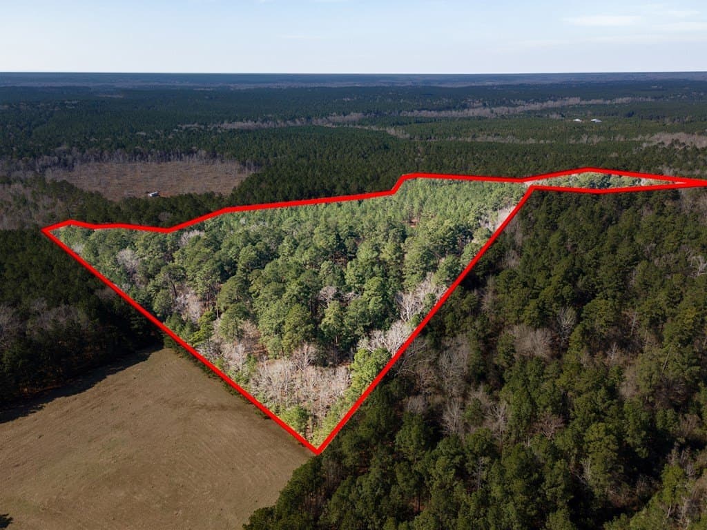 19.86 acres in Texas County - photo 6