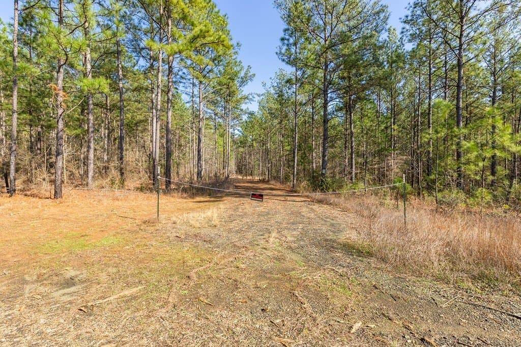 19.86 acres in Texas County - photo 13