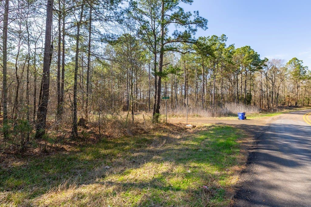 19.86 acres in Texas County - photo 11