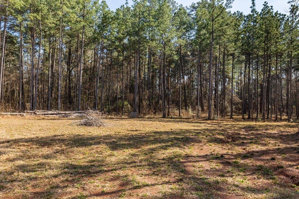 19.86 acres in Texas County - photo 15