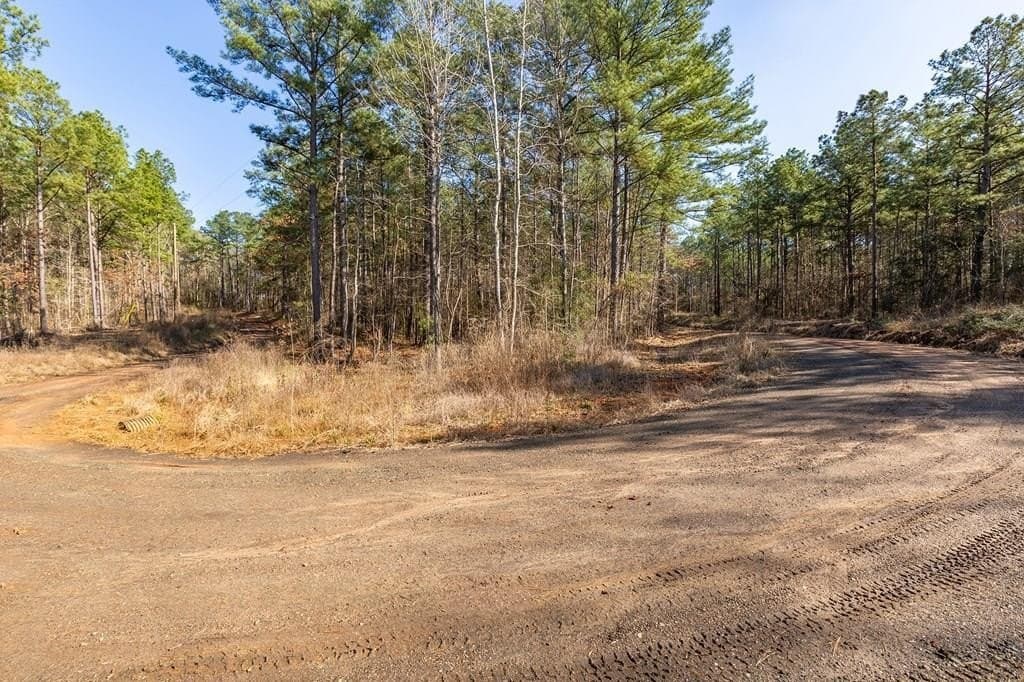 19.86 acres in Texas County - photo 2