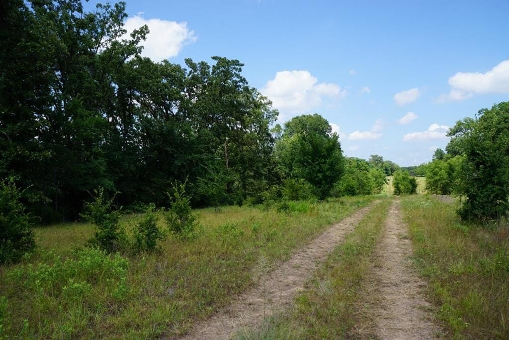 5.22 acres in Henderson County - photo 4