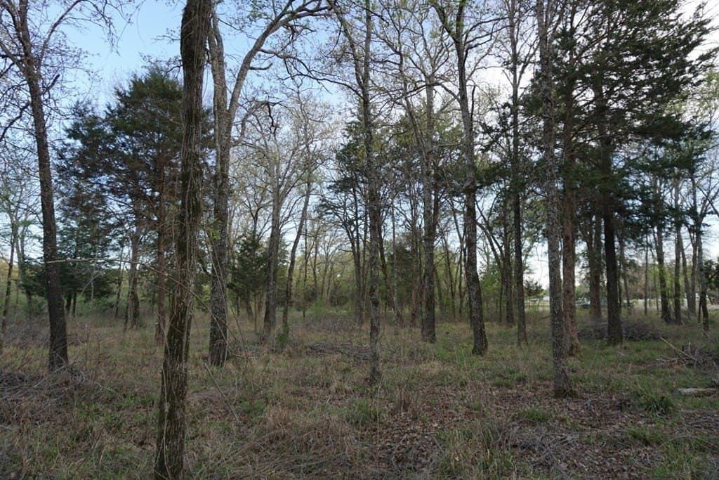 5.22 acres in Henderson County - photo 11