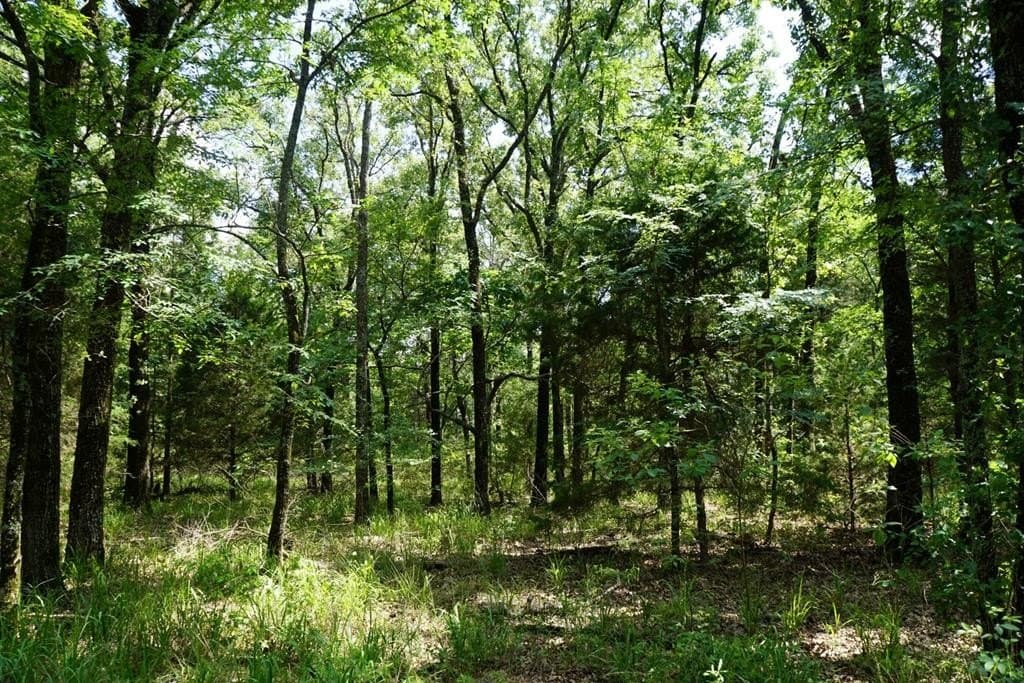 5.22 acres in Henderson County - photo 28
