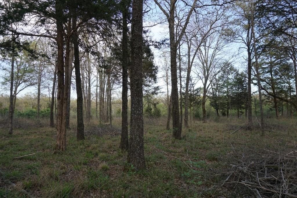 5.22 acres in Henderson County - photo 2