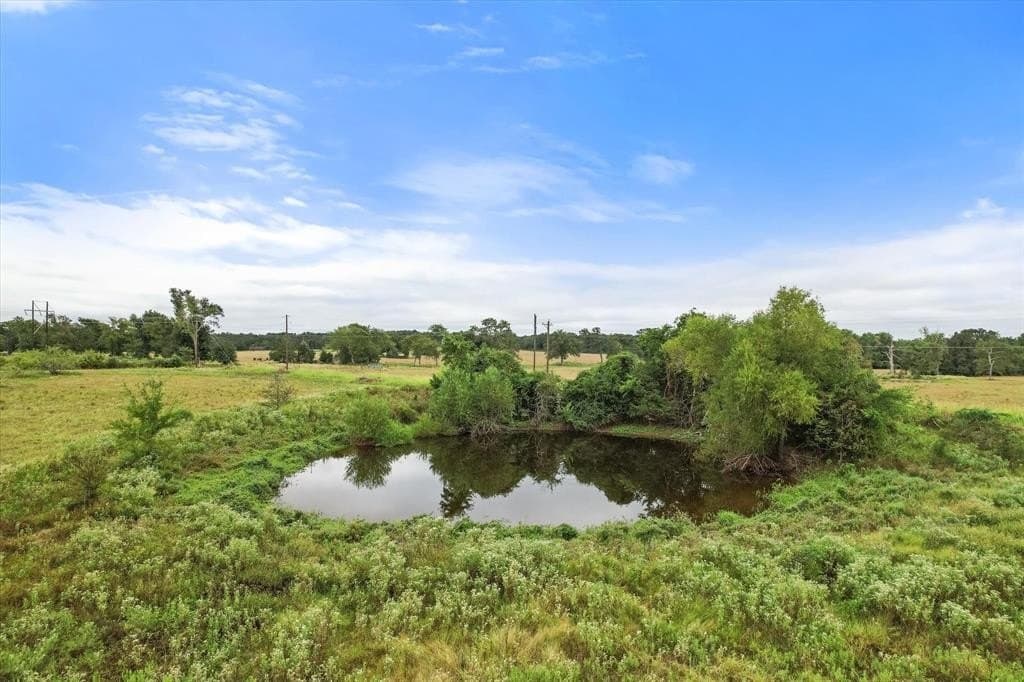 10 acres in Freestone County - photo 12