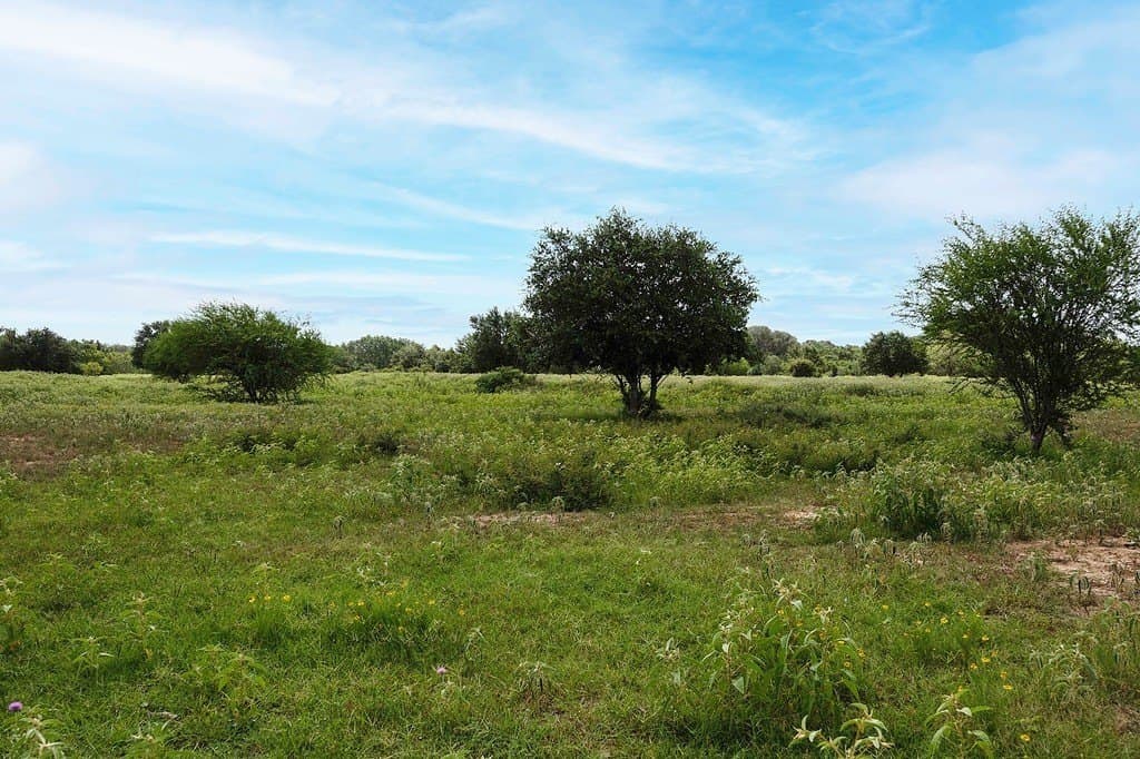 18.73 acres in Lavaca County - photo 6