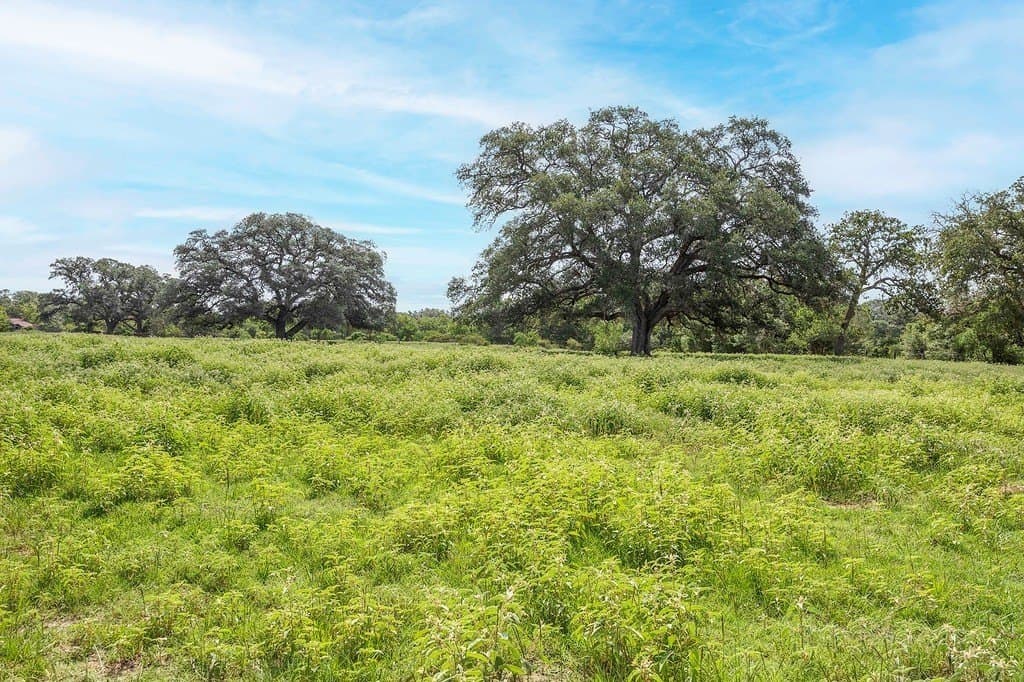 18.73 acres in Lavaca County - photo 5