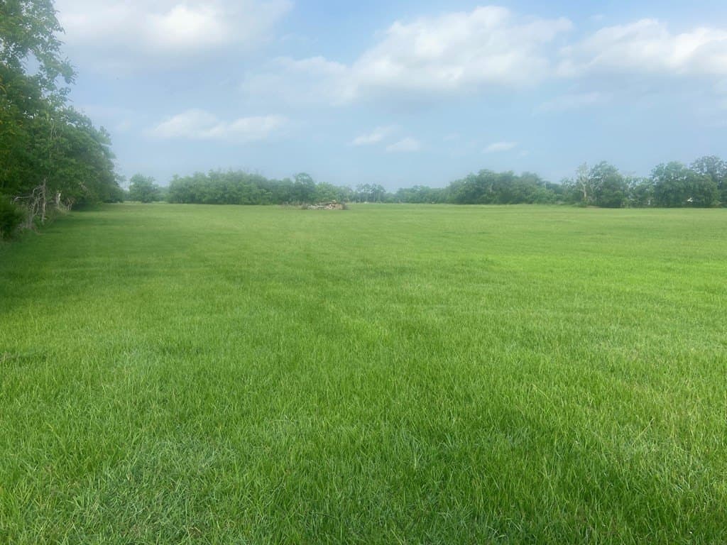 20 acres in Texas County - photo 7