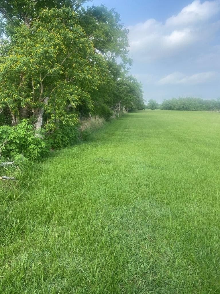 20 acres in Texas County - photo 5