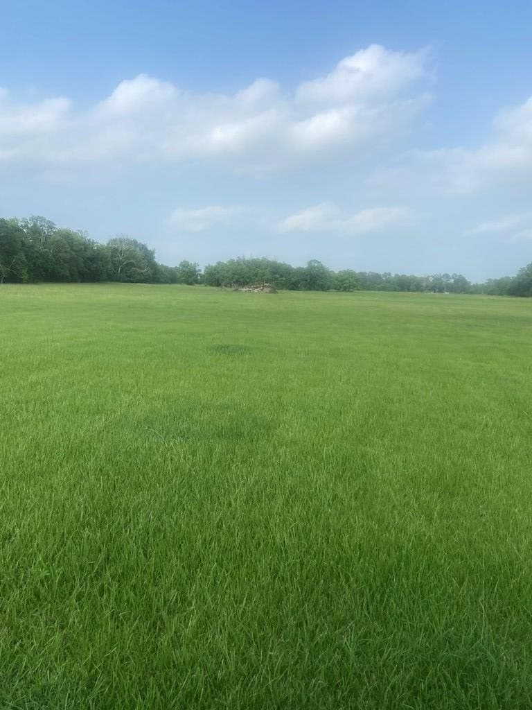 20 acres in Texas County - photo 4