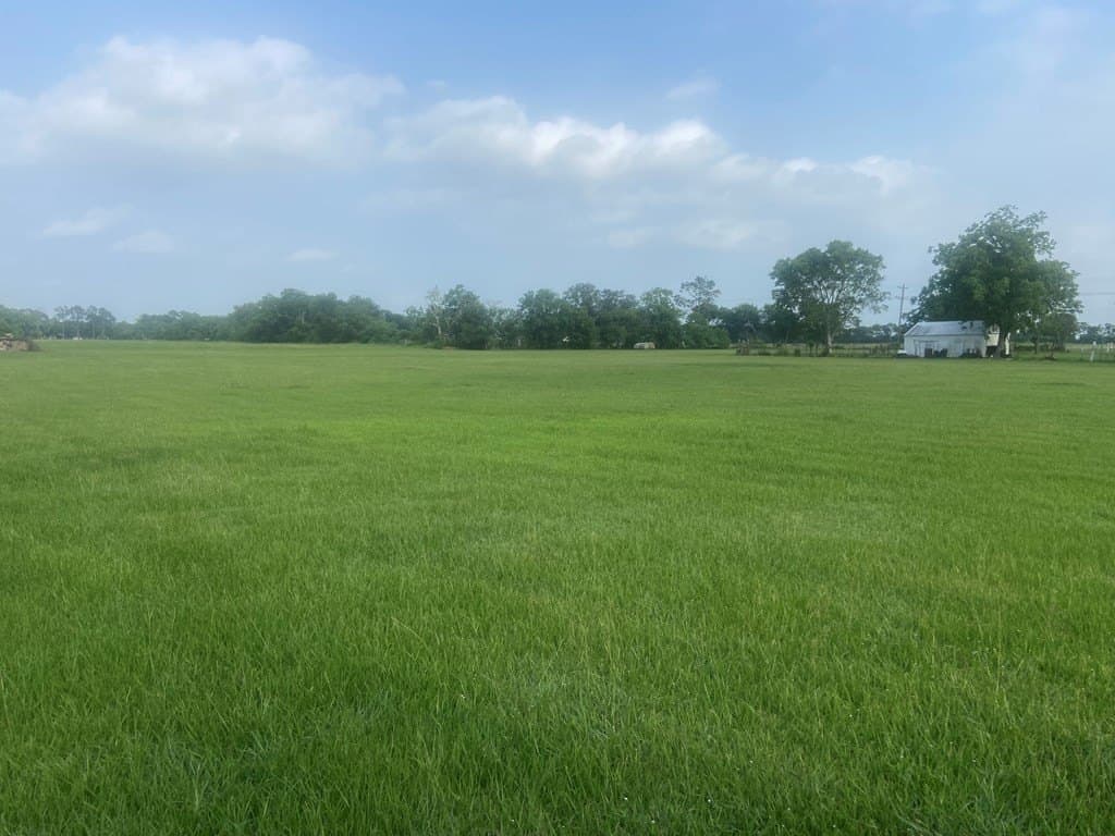 20 acres in Texas County - photo 6