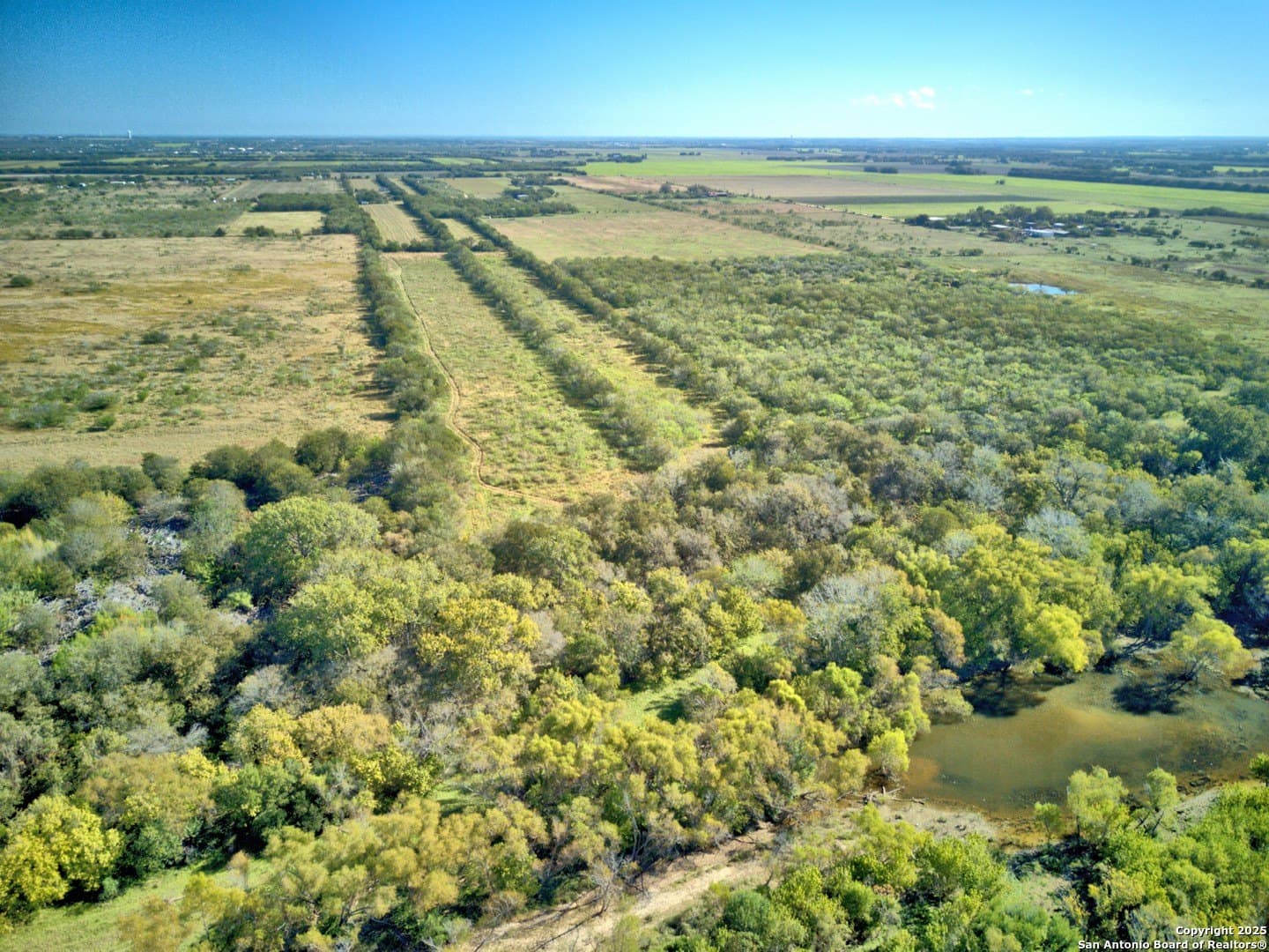 20.83 acres in Guadalupe County - photo 12