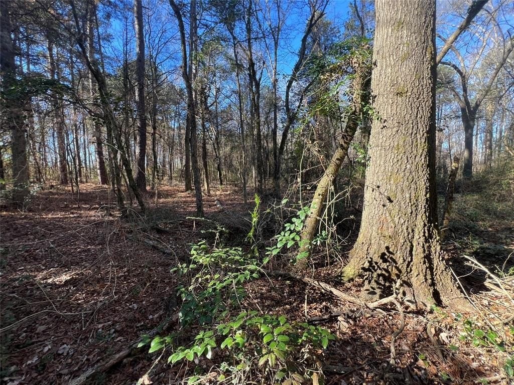 6.89 acres in Cass County - photo 4