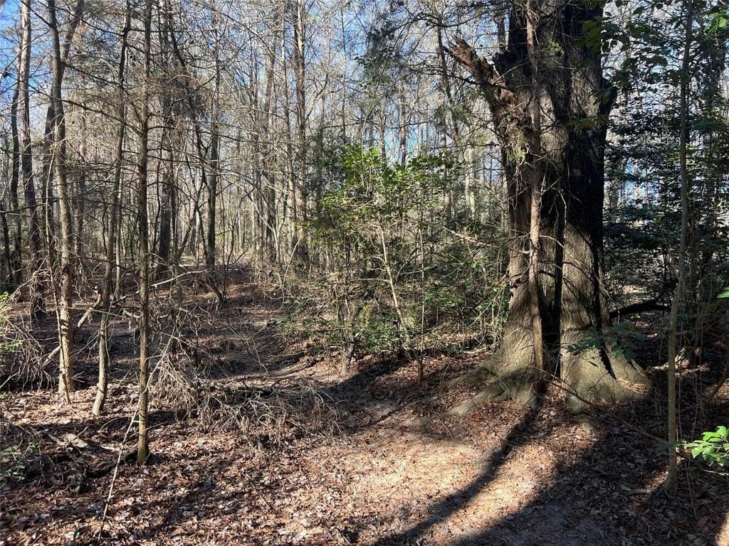 6.89 acres in Cass County - photo 2