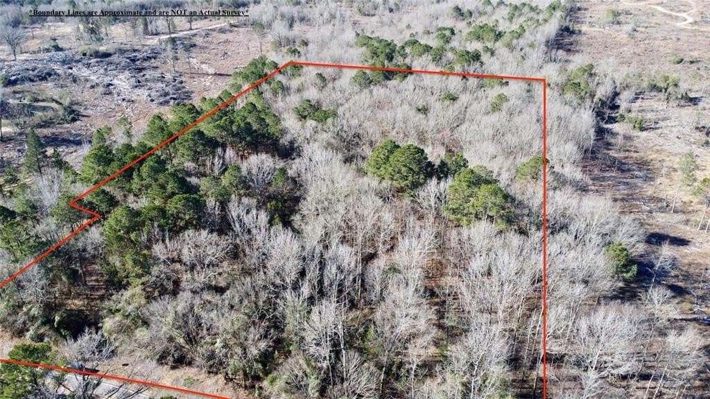 6.89 acres in Cass County - photo 5