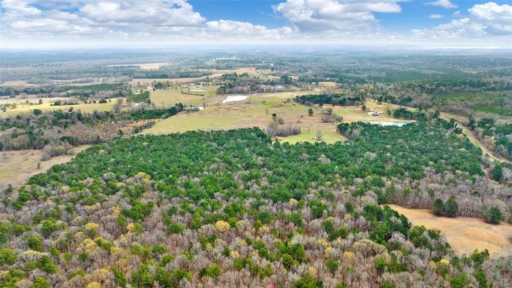 70.53 acres in Red River County - photo 8