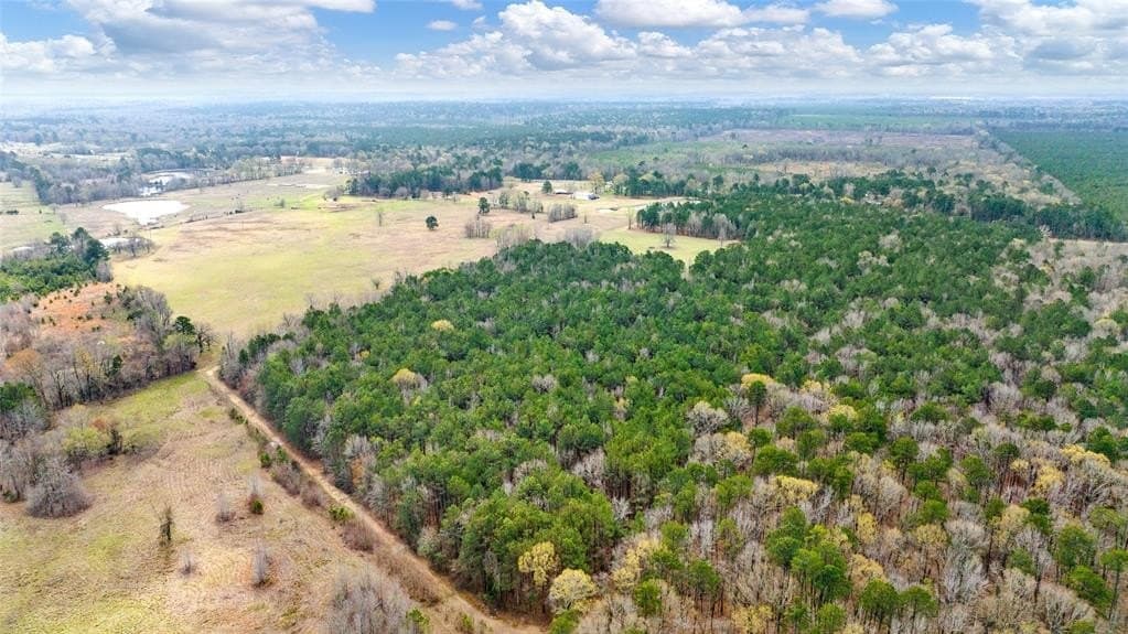 70.53 acres in Red River County - photo 35