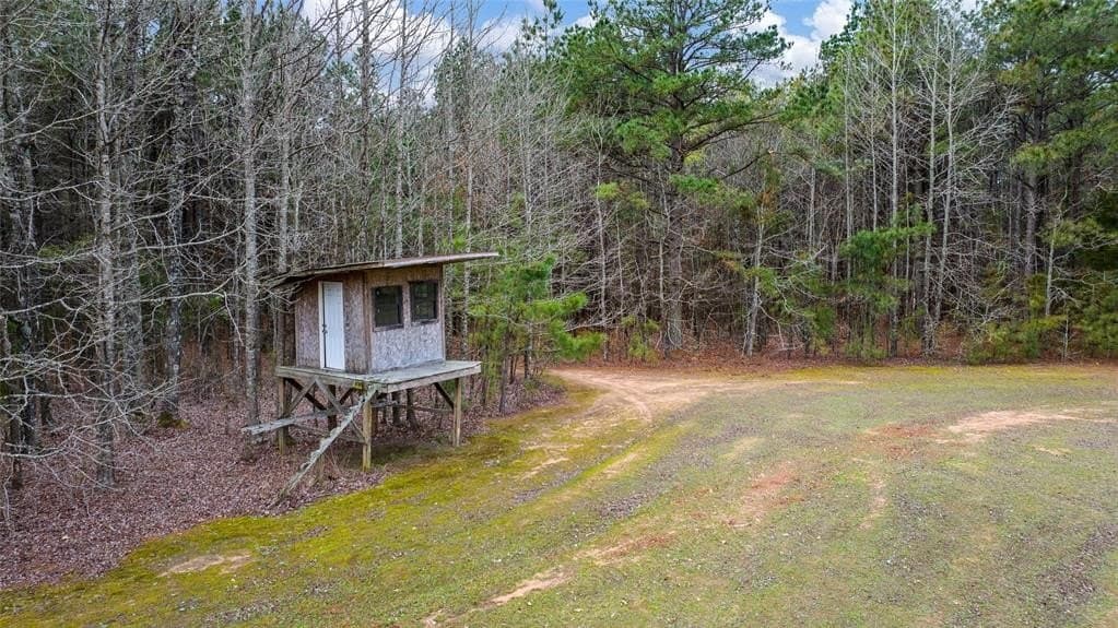 70.53 acres in Red River County - photo 7