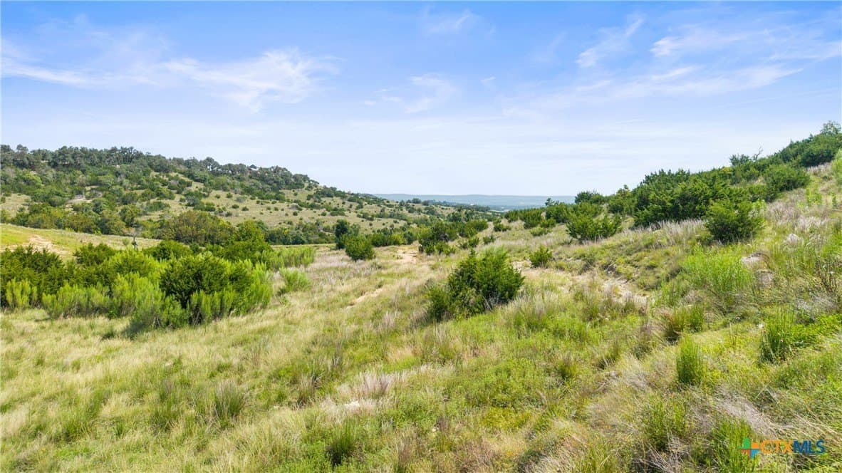 8.3 acres in Blanco County - photo 18