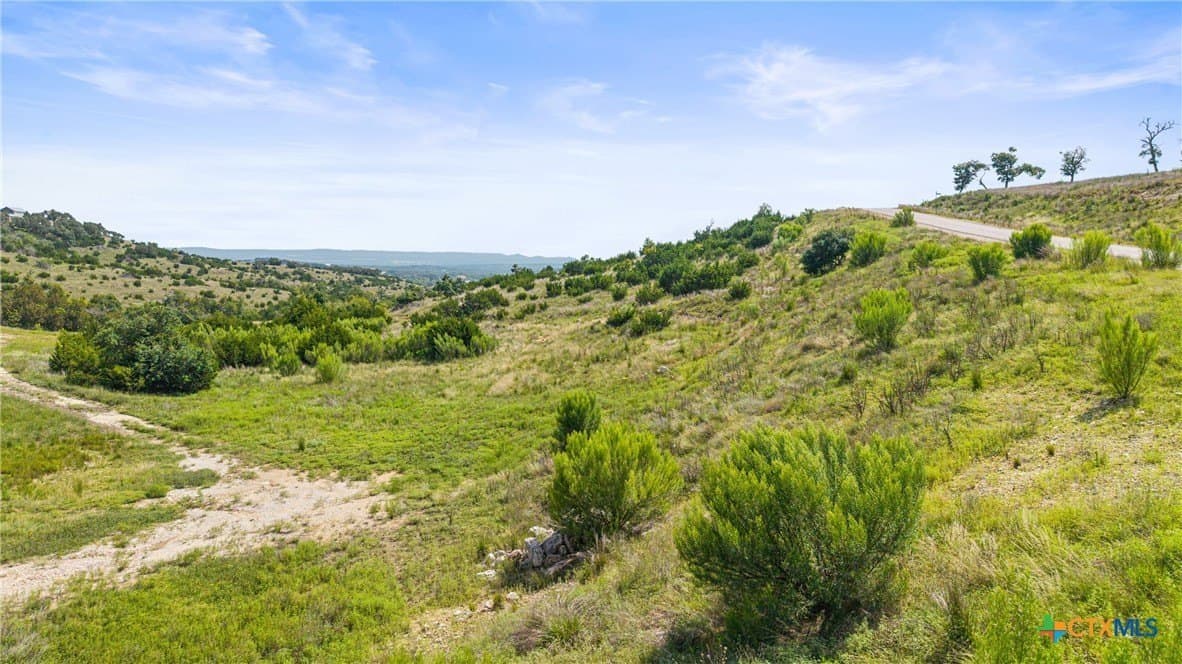 8.3 acres in Blanco County - photo 17