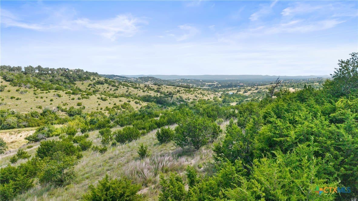 8.3 acres in Blanco County - photo 25