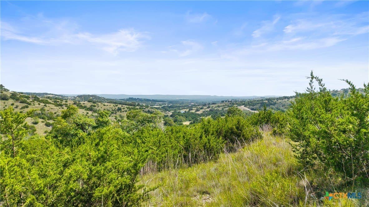 8.3 acres in Blanco County - photo 30