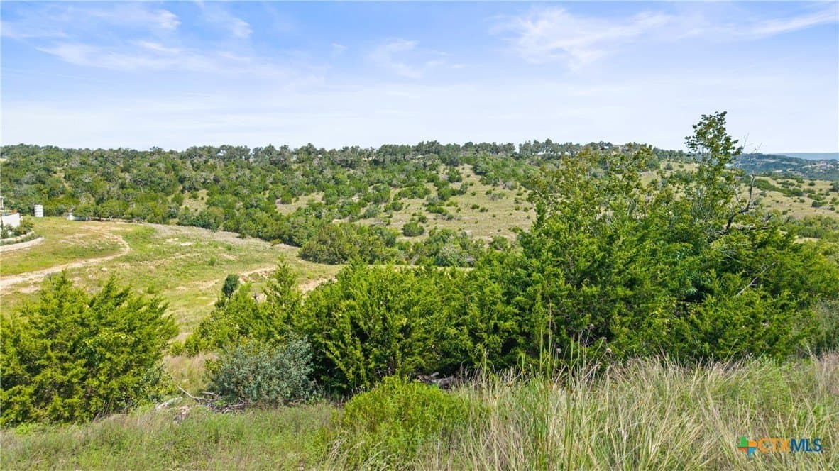 8.3 acres in Blanco County - photo 24