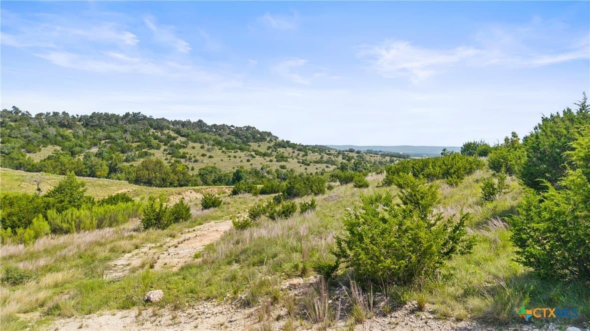 8.3 acres in Blanco County - photo 19
