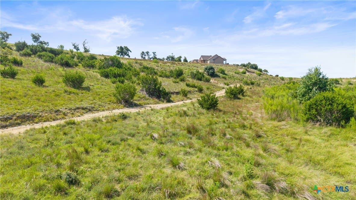 8.3 acres in Blanco County - photo 16