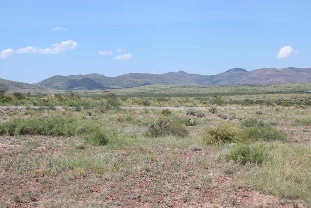 24.53 acres in Brewster County - photo 7