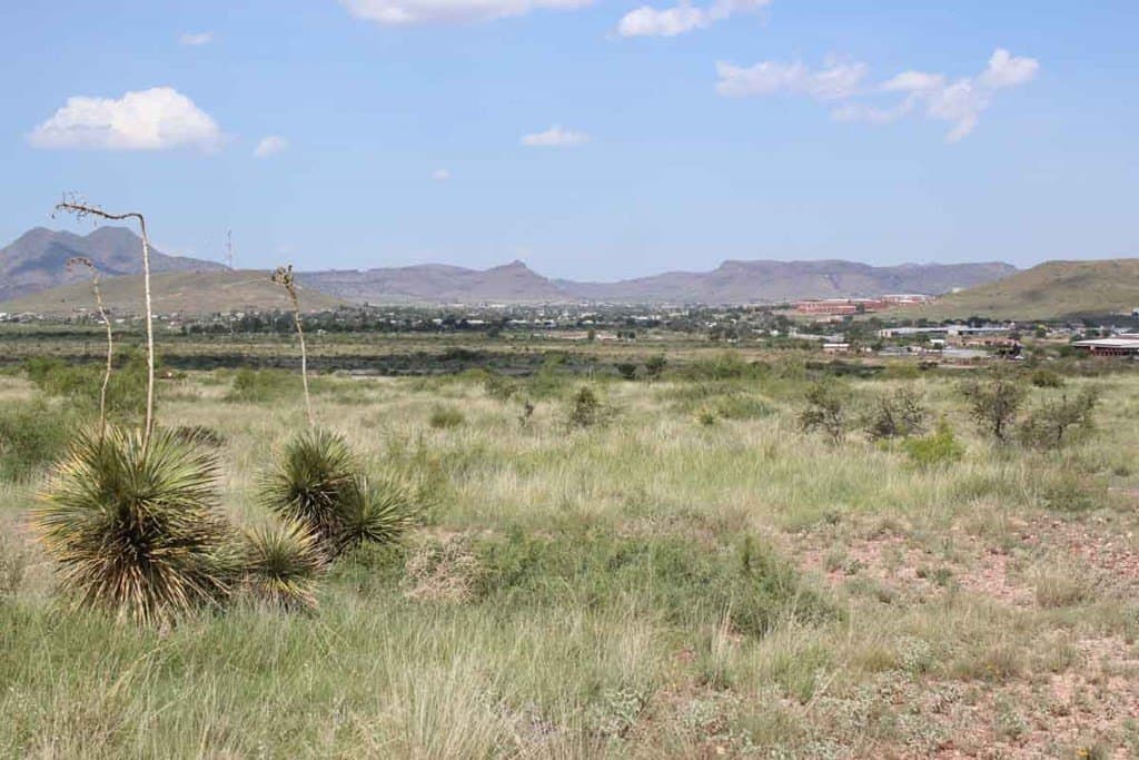 24.53 acres in Brewster County - photo 6