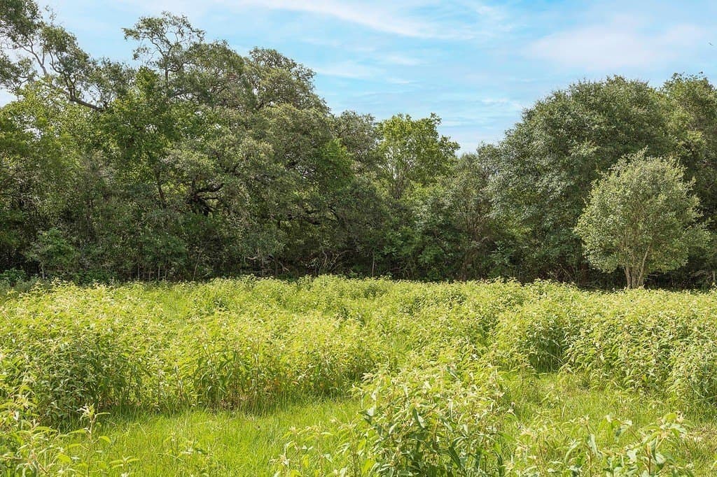 15 acres in Lavaca County - photo 3