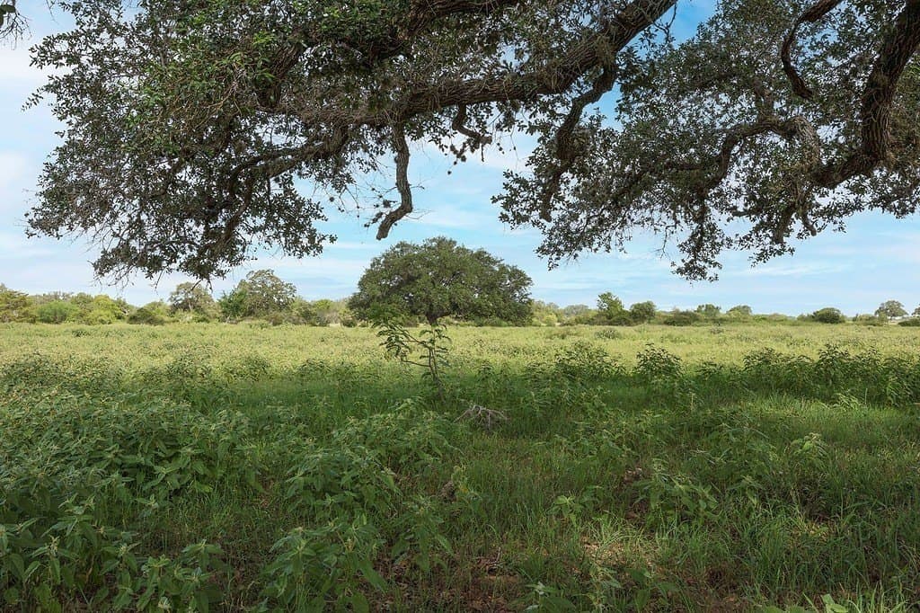 15 acres in Lavaca County - photo 2