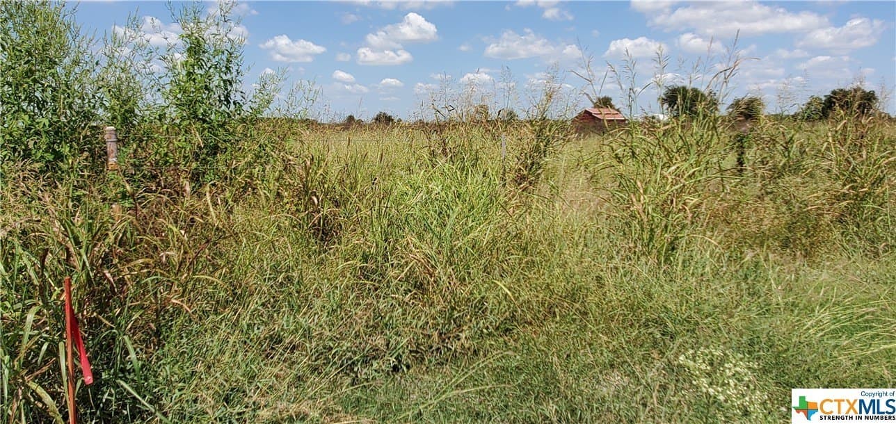 19.57 acres in Guadalupe County - photo 3