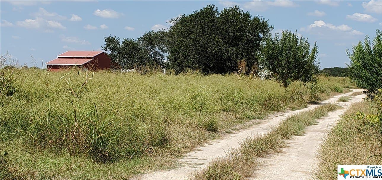 19.57 acres in Guadalupe County - photo 9