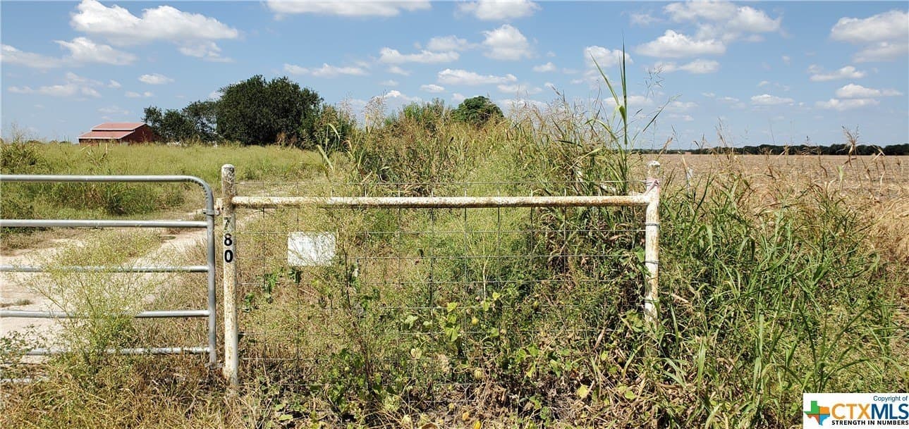 19.57 acres in Guadalupe County - photo 8
